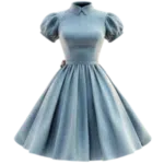 Dress & Clothing